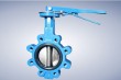 Concentric butterfly valve without pin