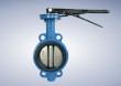 Concentric wafer butterfly valve