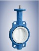 PTFE coated butterfly valve