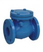 Cast iron check valve ANSI 125/150