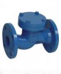 DIN Cast iron check valve