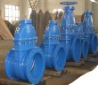 Cast iron gate valve large diameter