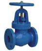 Cast iron globe valve BS 5152