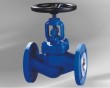 DIN globe valve