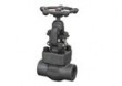 Forged globe valve