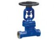 Forged steel bellow seal globe valve