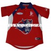 2014 custom cricket jerseys made in China