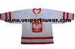 Make your own logo for hockey jersey