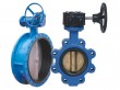 SOFT SEAL BUTTERFLY VALVE