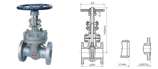 CAST STEEL GATE VALVE