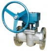 API Plug Valve