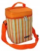 Picnic cooler bag PQD-402 with adjustable strape