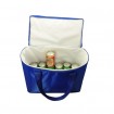 Cooler Bag manufacturer china