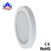 10W round LED ceiling lamp