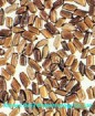 Cassia Seed extract