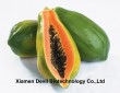Papaya Extract