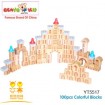 100pcs Colorful Blocks