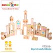 62pcs Colorful Blocks