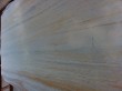 New Serpeggianto Marble Slab(Light Yellow)