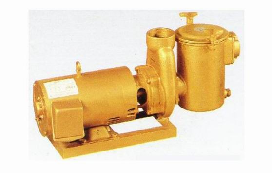 Bronze Pump