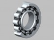 cylindrical roller bearing NU204