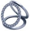 trust bearing 51118