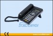 IP-Phone CDX-IPH301