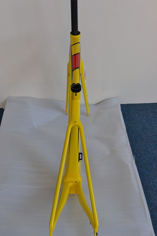 ECTC-EFR04 limited Yellow carbon bicycle frame