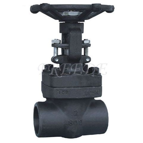 Forged Steel Gate Valve