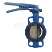 Wafer Type Butterfly Valve