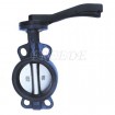 Wafer Type Butterfly Valve