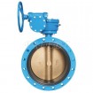 Worm Gear Flange Type Butterfly Valve