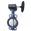 Worm Gear Wafer Type Butterfly Valve