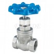 Stainless Steel Female Threaded Gate Valve