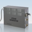Steam Generator S201