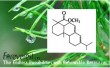 METHANOL ESTER of GUM ROSIN(ABALYN)