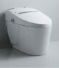 intelligent toilet     EAGO-TZ342