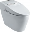 intelligent toilets WAMO TZ001