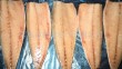 Frozen fish fillets Ma