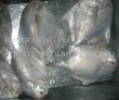 Large supply of frozen silver pomfret