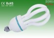 Lotus 14mm Tube Energy Saving Lamp(55W)