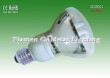 Reflector  Energy Saving Lamp(13W)