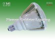 Reflector  Energy Saving Lamp(20W)