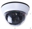 IR Dome Camera(PUB-BW222)