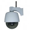 Wireless IP Camera(PUB-V901-Z-WS)