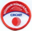 Sports team logo Embroidery patch