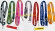 Multicolor Lanyard