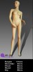 female mannequins12