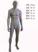 male mannequins39