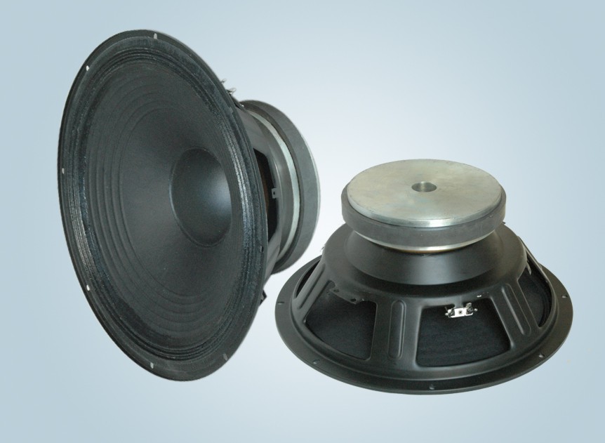 Professional Speaker 15038